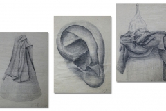 Studie kresby
